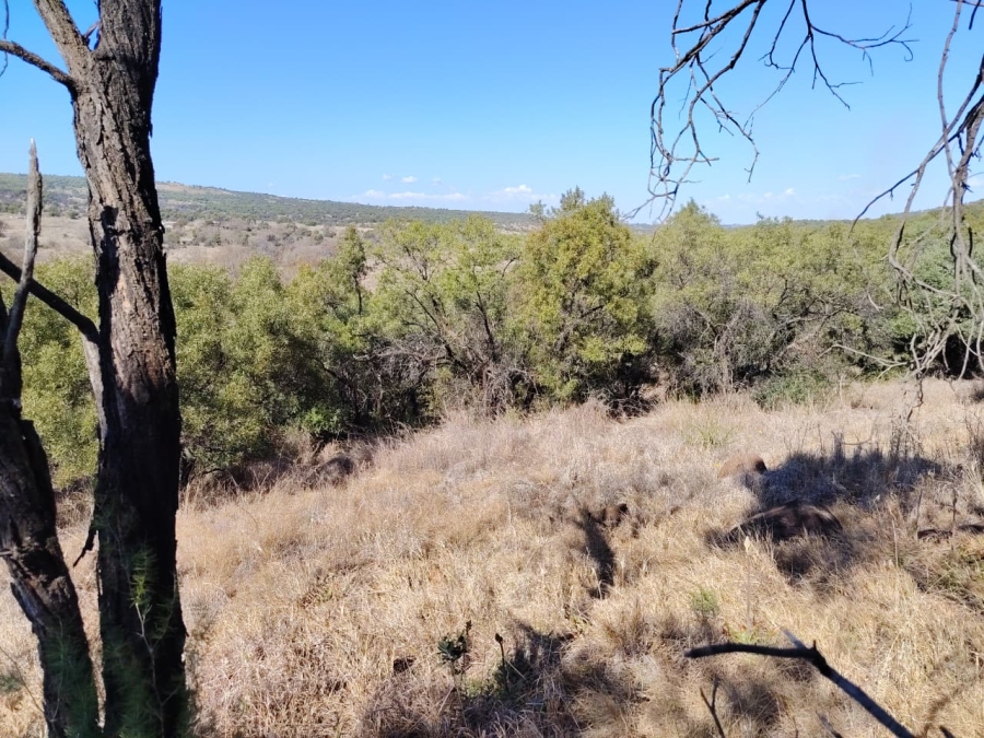 Commercial Property for Sale in Swartruggens North West
